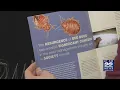 How to report bed bugs you found in hotels