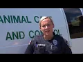 Petwise Animal Control Officers