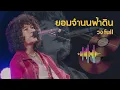 ยอมจำนนฟ้าดิน -โบวี่ (cover by วงfull)
