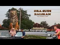 Lagu Muk Salam Project - Ora Sudi Balikan (official music video)