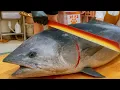 Lagu Amazing Giant Fish Cutting! Tuna \u0026 Shark Skills – 300KG Bluefin, King Fish Sashimi \u0026 Shark Cooking