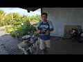 Download Lagu Makai Kambin Di Balut Gau Sayur Salad Bai Sidak Mayau Lemai2//Kira Baka Uhang Kohia Lah//Mmmmmm