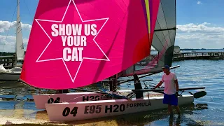 Show us your cat! Episode 95 – USA