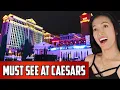 Caesars Palace In Las Vegas 10 Things You Must See Vegas Baby Vegas