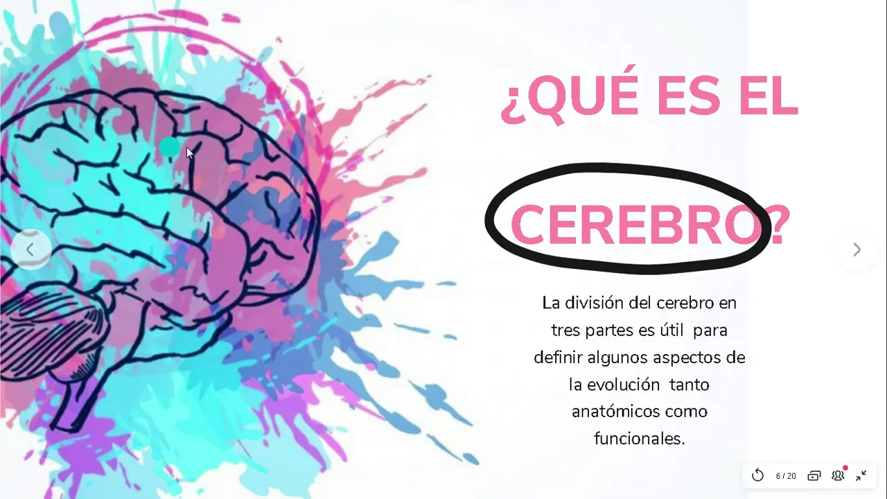 Neuropsicologia Cognitiva - Hipótesis Cerebral e Hipótesis Neuronal