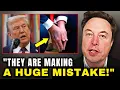 Download Lagu Elon Musk: \