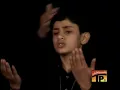 Download Lagu Alvida Alvida | New Noha 2006 | Zeeshan Haider Jaffri