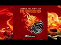 Alborosie feat Raging Fyah - The Unforgiven