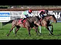 Download Lagu THE YELLOW CLAY somehow wins at Navan