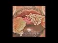 Toro y Moi - New Beat