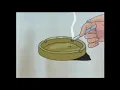Smoke trees - Trees (with Sleepdealer)