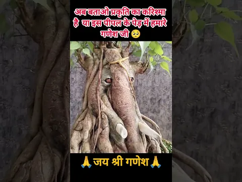 अब बताओ प्रकृति का करिश्मा है है या हमारे 🥺 #mahadev #shorts