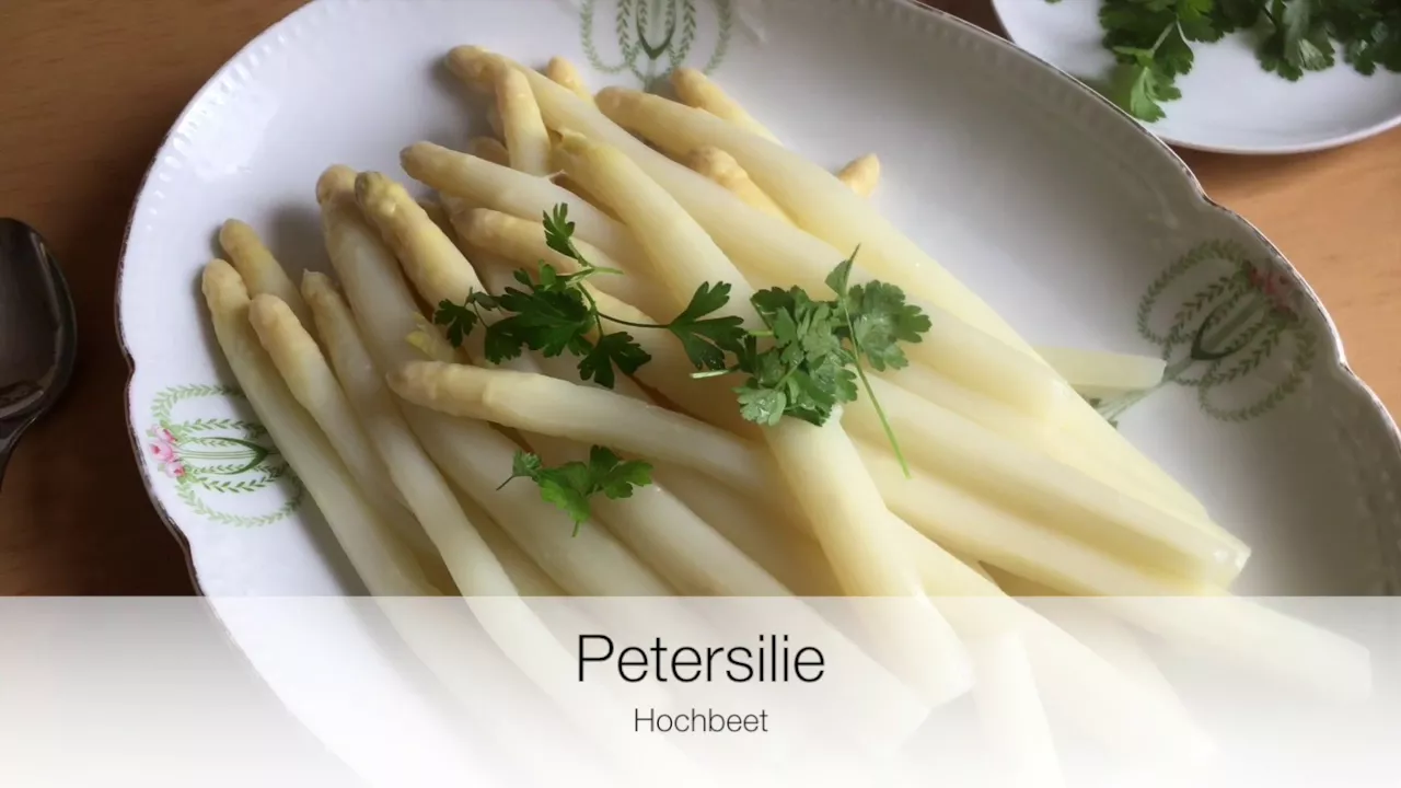 Spargel Rezept | Klassisch Spargel kochen mit Schinken. 