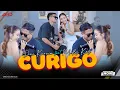 Download Lagu Dini Kurnia Ft. Mufly Key - Curigo (Official Music Live) Lagu Osing Banyuwangi Terbaru 2025