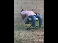 TIKTOK #OhNo COMPILATION|||TOP 5 ||| FUNNY VIDEOS