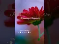 Download Lagu | Iruvathu Kodi | T. Manamum Thullum | Hariharan #musicuniverse #tamilstatussongs #tamillovesong