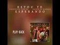 Estou Te Esperando (Playback)