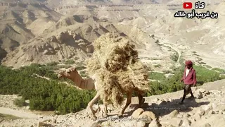 حصريا حياة البدو كلمات سعيد بن زيد باعجره غناء الفنان سليمان العمري 