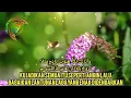 Download Lagu SHOLAWAT QOD ANSHOHA MENYENTUH HATI.