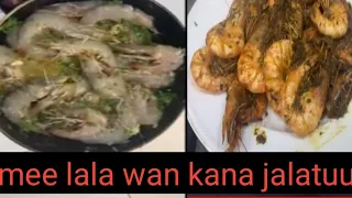 Akkata Qurxumi Itin Hijetamuu 