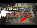 Lagu KANDANG DOMBA TERLALU LEBAR..! GW BONGKAR LAGI AJA DEH..!