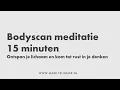 Krachtige Bodyscan Meditatie | 15 minuten | Mark Teijgeler | Mindfulness
