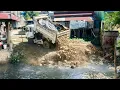 Lagu Start Opening New Project!!Bulldozer KOMAT'SU D20P pushing Soil into Dirty water\u0026 Trucks​ 5Ton.