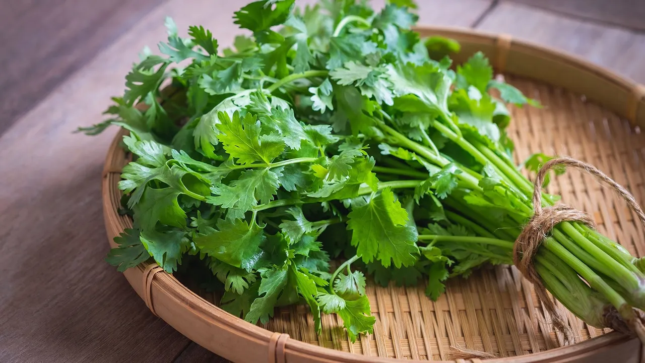 Farmer Tips For Picking + Cooking With Cilantro