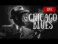 Lagu Chicago Blues Radio – 24/7 Live Slow Blues \u0026 Whiskey Nights