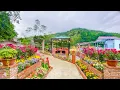 Full Video: Building A Cabin, Tea Table Next To A Beautiful Lakeside Garden. Ly Hong Quan