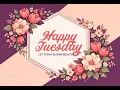 Happy Tuesday Wishes Beautiful Floral Tuesday Greetings to Brighten Your Day