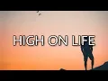 Download Lagu Martin Garrix - High on life (lyrics) ft. Bonn