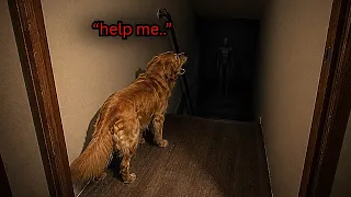 Man Smells Something Rotting in his Basement Then Finds This... | 10 Scary Videos