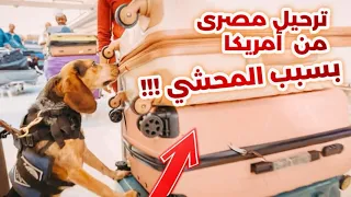 حكايه عم حامد فى أمريكا 