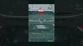 A few personalized license plates from our area
