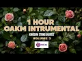 VOLUME 3 1 HOUR INSTRUMENTAL OAKM ACQ Records Original ACQ