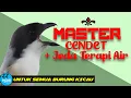 Download Lagu Master cendet / pentet + jeda terapi air. untuk isian materi burung kicau