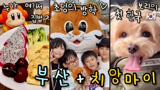 부산 찍고, 태국✈️ 보리 첫 한국 🇰🇷 치앙마이 카페투어하고, 알차게 보내는 초딩 방학 일상 🇹🇭🫧