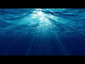 OCEAN LOOP