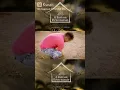 Download Lagu 🔵O BARRACO VIROU MANSÃO(ZÈ VAQUEIRO)