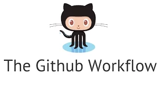How to Use the Github Workflow