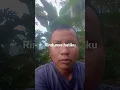 Download Lagu kangen bojo #dangdut #dangdutkoplo