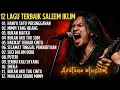 Lagu HANYA SATU PERSINGGAHAN 🔥 PLAYLIST LAGI TERBAIK SALEEM