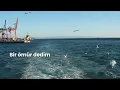 Akif Alkan & Mert Tunçmakas - Ne Kadar Acınası - Mavi Gri