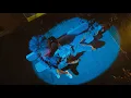 Vince Staples - Ramona Park Broke My Heart The Musical WHEN SPARKS FLY