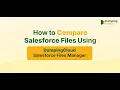How to Compare Salesforce Files Side by Side DumpingCloud