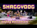Download Lagu SHAGGYDOG - ANJING KINTAMANI Live Acoustic