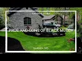 Pros and Cons of Black Mulch together with some alternatives