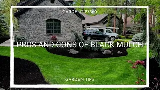 Pros and Cons of Black Mulch together with some alternatives