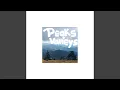 Download Lagu Peaks and Valleys